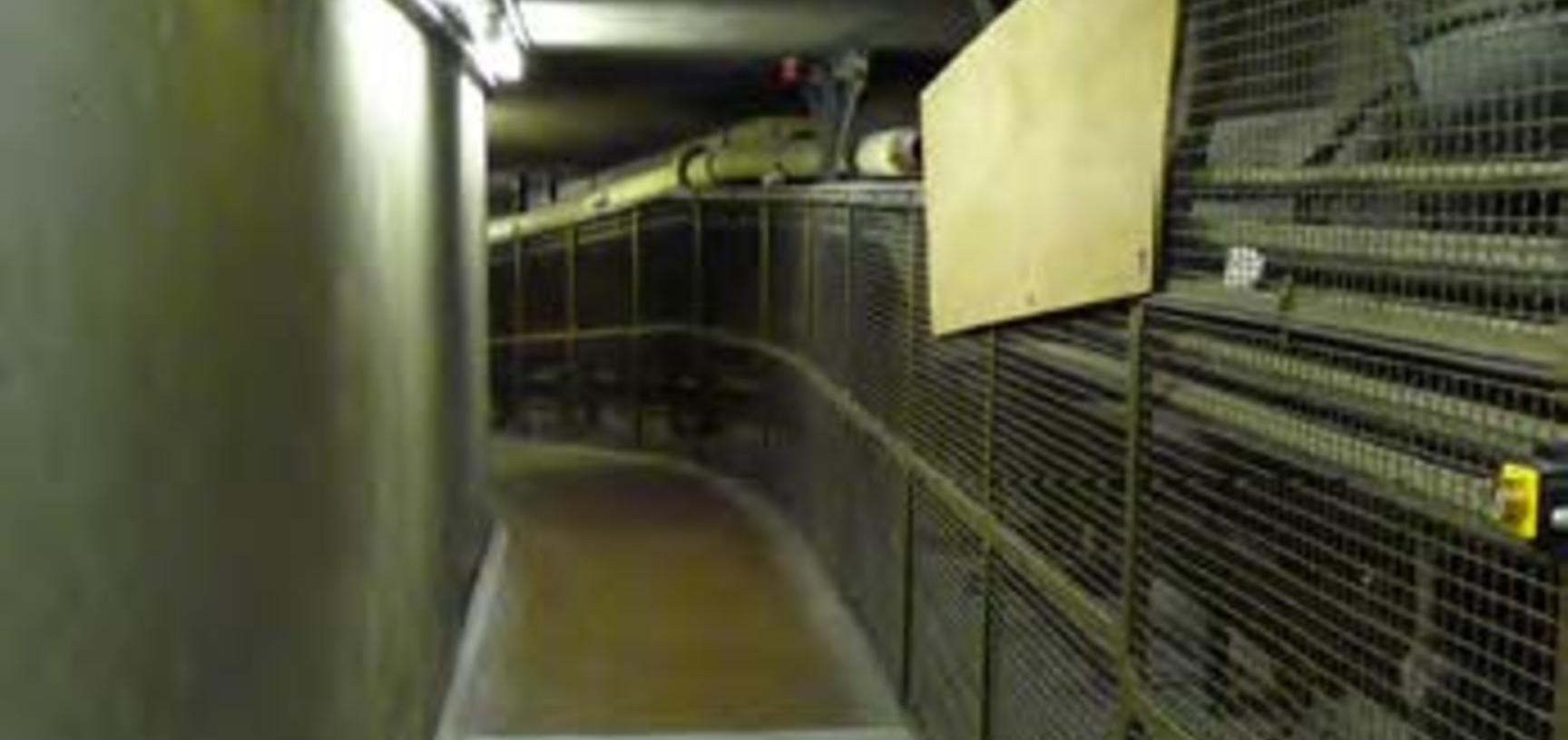 Book conveyor in tunnel