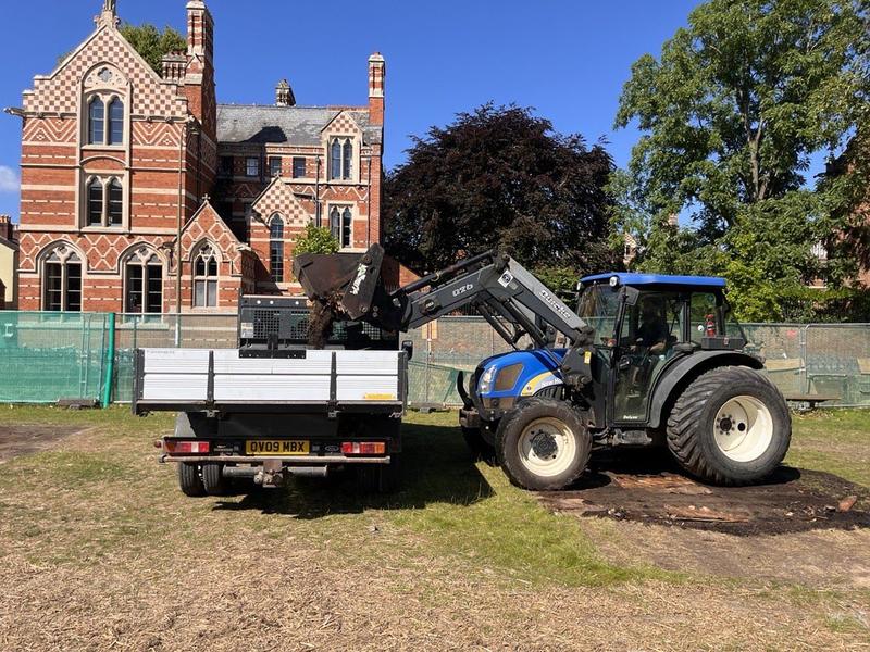 lawn restoration in progress