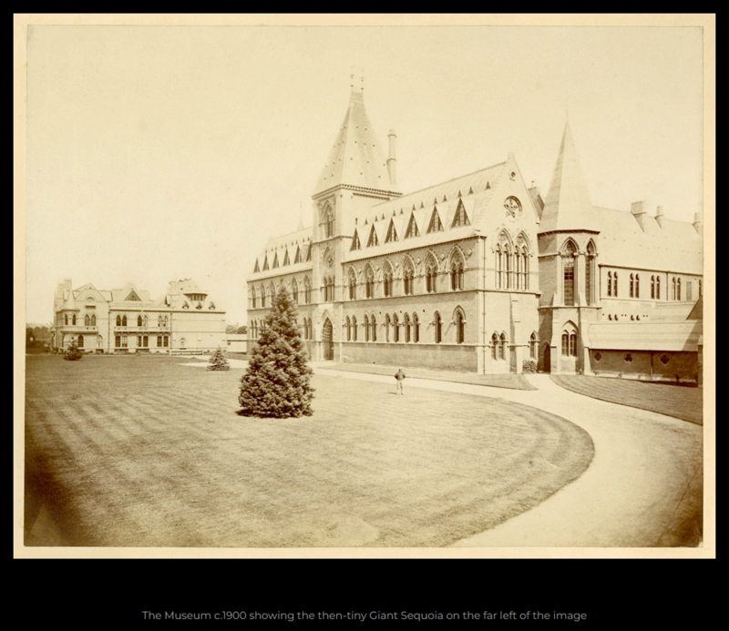 photo c 1909