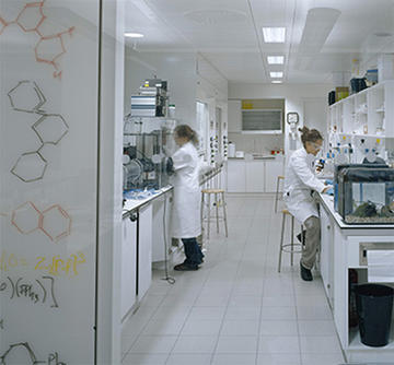 Photo of two people working in a chemistry laboratory